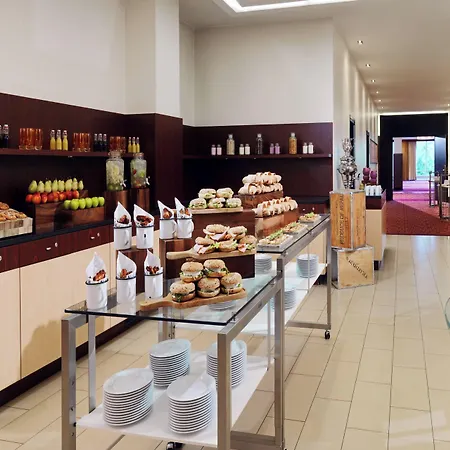 Marriott מלון היידלברג